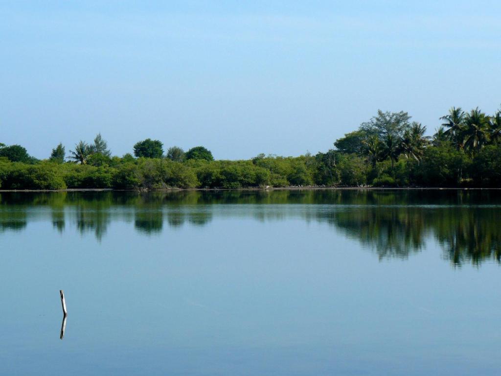 Gili Garden Bungalow กิลิเมโน ภายนอก รูปภาพ
